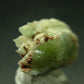 Very Rare Phosphophyllite Crystal From Bolivia - 0.9" - 2.79 Grams