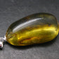 Natural Insects in Baltic Amber 925 Silver Pendant from Poland - 1.6" - 3.90 Grams