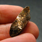 Rare Xenotime Crystal from Brazil - 0.9" - 3.73 Grams