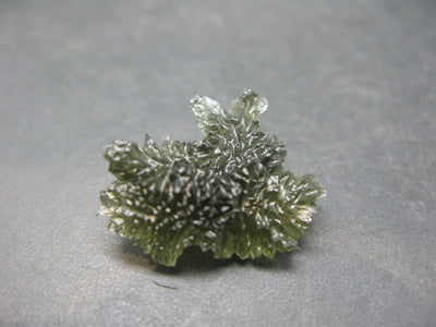 Besednice Moldavite Tektite Raw Piece from Czech Republic - 1.0" - 17.95 Carats