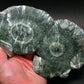 Nice Polished Seraphinite Clinochlore Stalactite Slab From Russia - 8.6" - 490 Grams