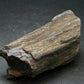 Rare ISUA Stone Raw Piece from Greenland - 4.9" - 90.39 Grams