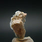Rare Phenakite Phenacite Crystal from Madagascar - 10.85 Carats - 0.7"