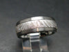Muonionalusta Meteorite Steel Ring - 11.72 Grams - Size 9
