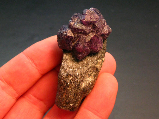 Fine Alexandrite Chrysoberyl Cluster From Zimbabwe - 2.4"