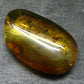 Insects in Amber Piece From Baltic Sea - 6.46 Grams - 1.7"