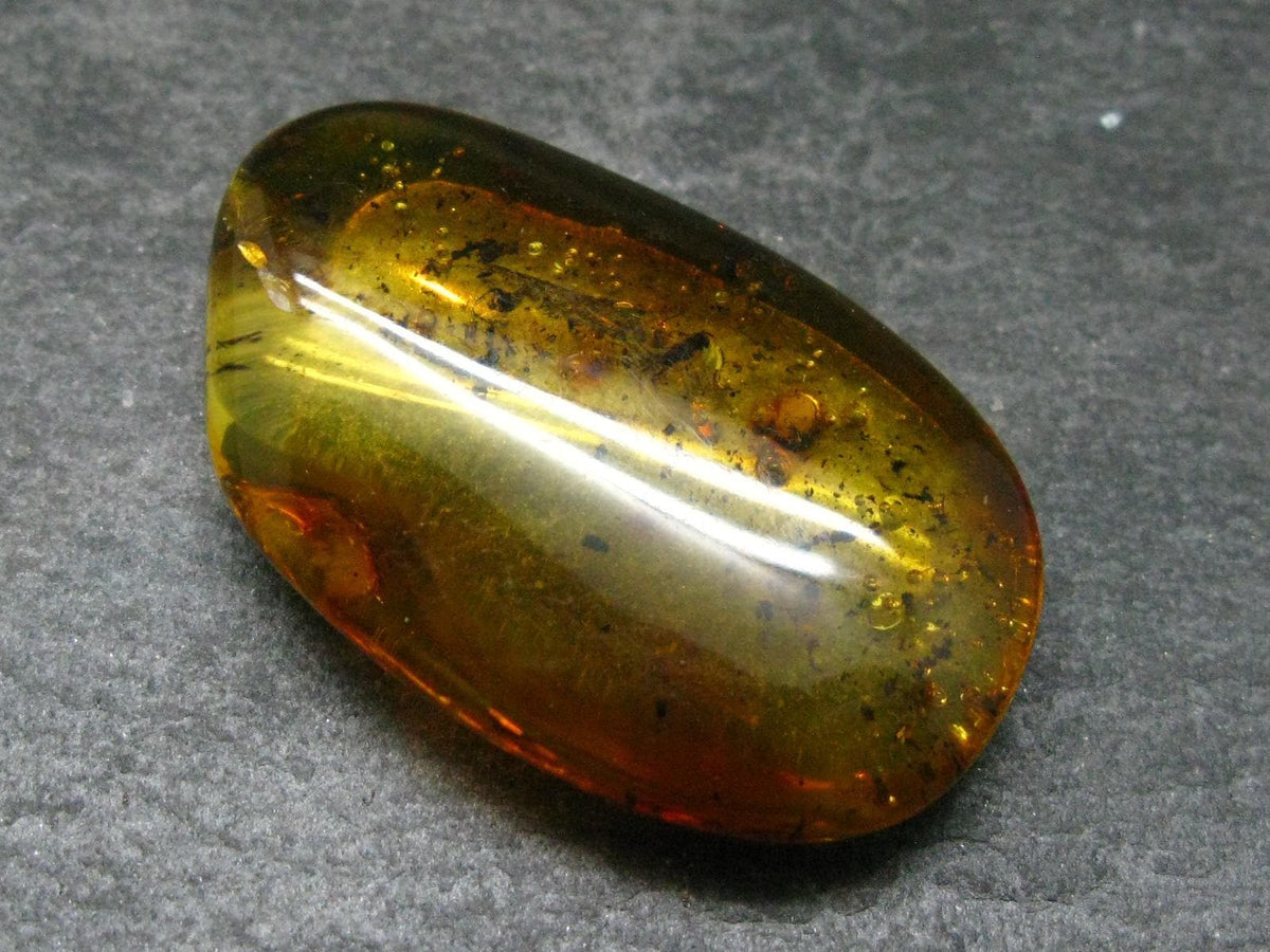 Insects in Amber Piece From Baltic Sea - 6.46 Grams - 1.7"