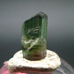 Rare Watermelon Tourmaline Crystal From Brazil - 0.5" - 6.60 Carats