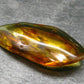 Insects in Amber Piece From Baltic Sea - 6.10 Grams - 2.0"