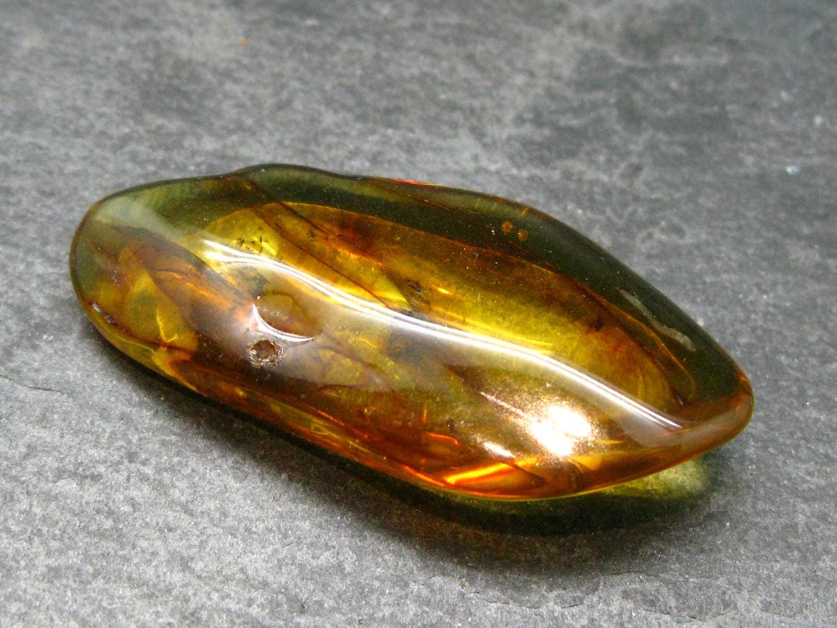 Insects in Amber Piece From Baltic Sea - 6.10 Grams - 2.0"