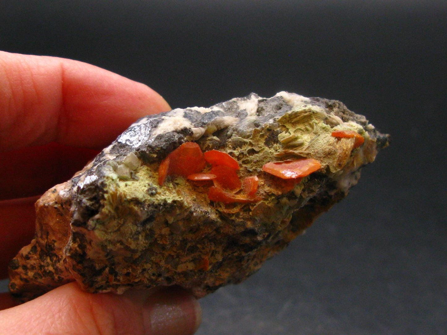 Wulfenite Cluster From Morocco - 2.8"
