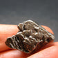 Campo Del Cielo Meteorite from Argentina - 19.15 Grams - 1.1"
