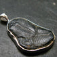 Trilobite Silver Pendant from USA - 1.3" - 3.83 Grams