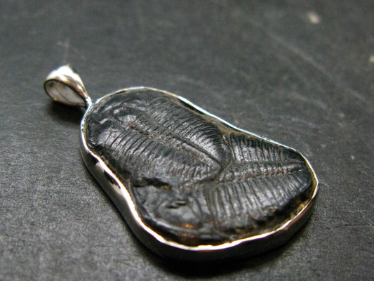 Trilobite Silver Pendant from USA - 1.3" - 3.83 Grams