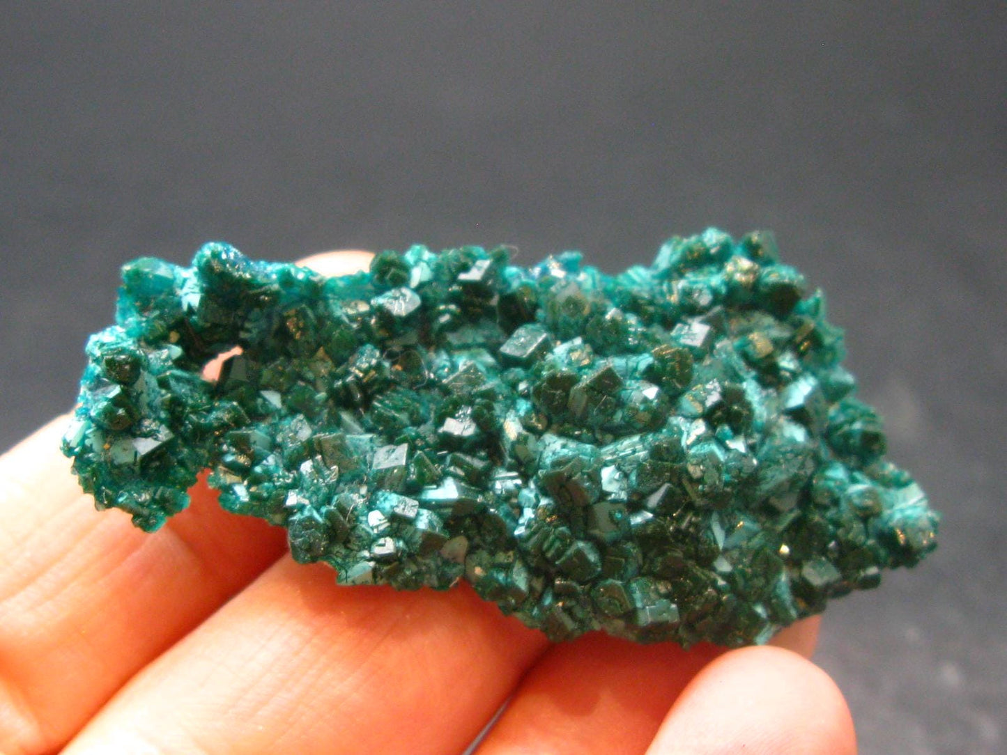 Very Nice Dioptase Cluster from Congo - 2.0" - 8.07 Grams