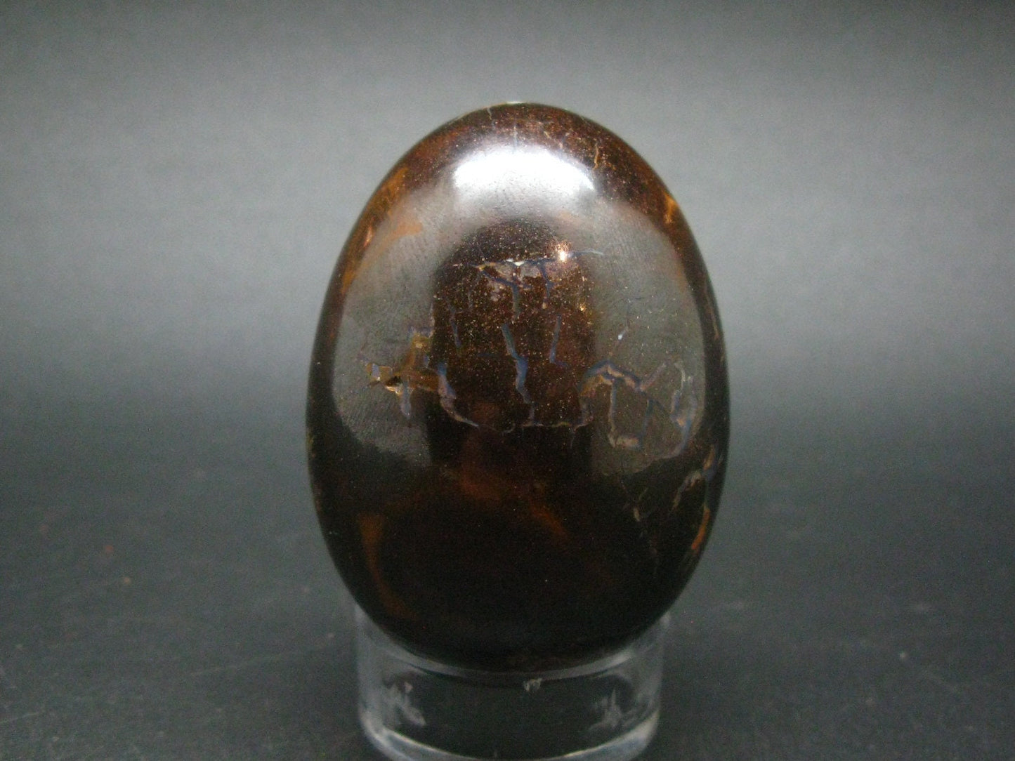 Super Rare Boulder Opal Egg from Australia - 2.3" - 145.2 Grams
