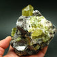 Museum Golden Apatite Cluster From Mexico - 4.8"