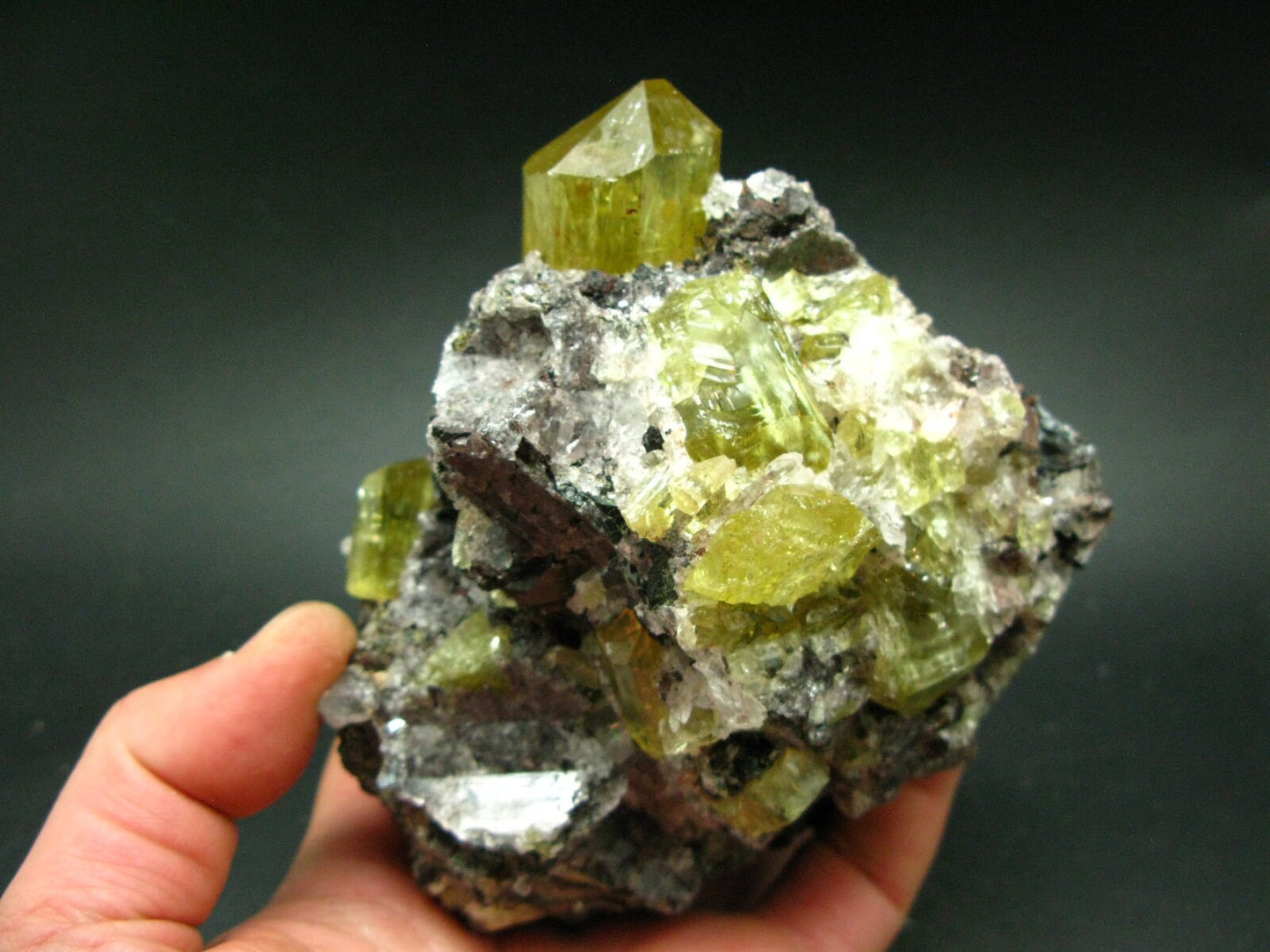 Museum Golden Apatite Cluster From Mexico - 4.8"