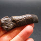 Rare Prophecy Stone Limonite after Pyrite From Egypt - 2.3" - 34.79 Grams