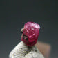 Nice Rare Gem Bixbite Red Emerald Beryl Crystal From Utah USA - 0.46 Carats
