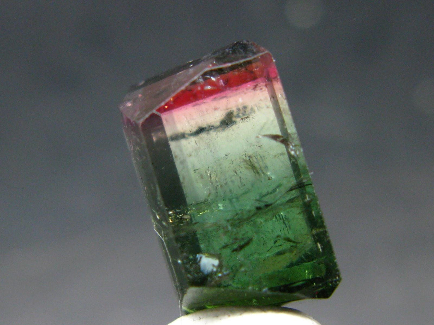 Watermelon Tourmaline Cut Stone Gem From Brazil - 7.27 Carats - 13x10mm