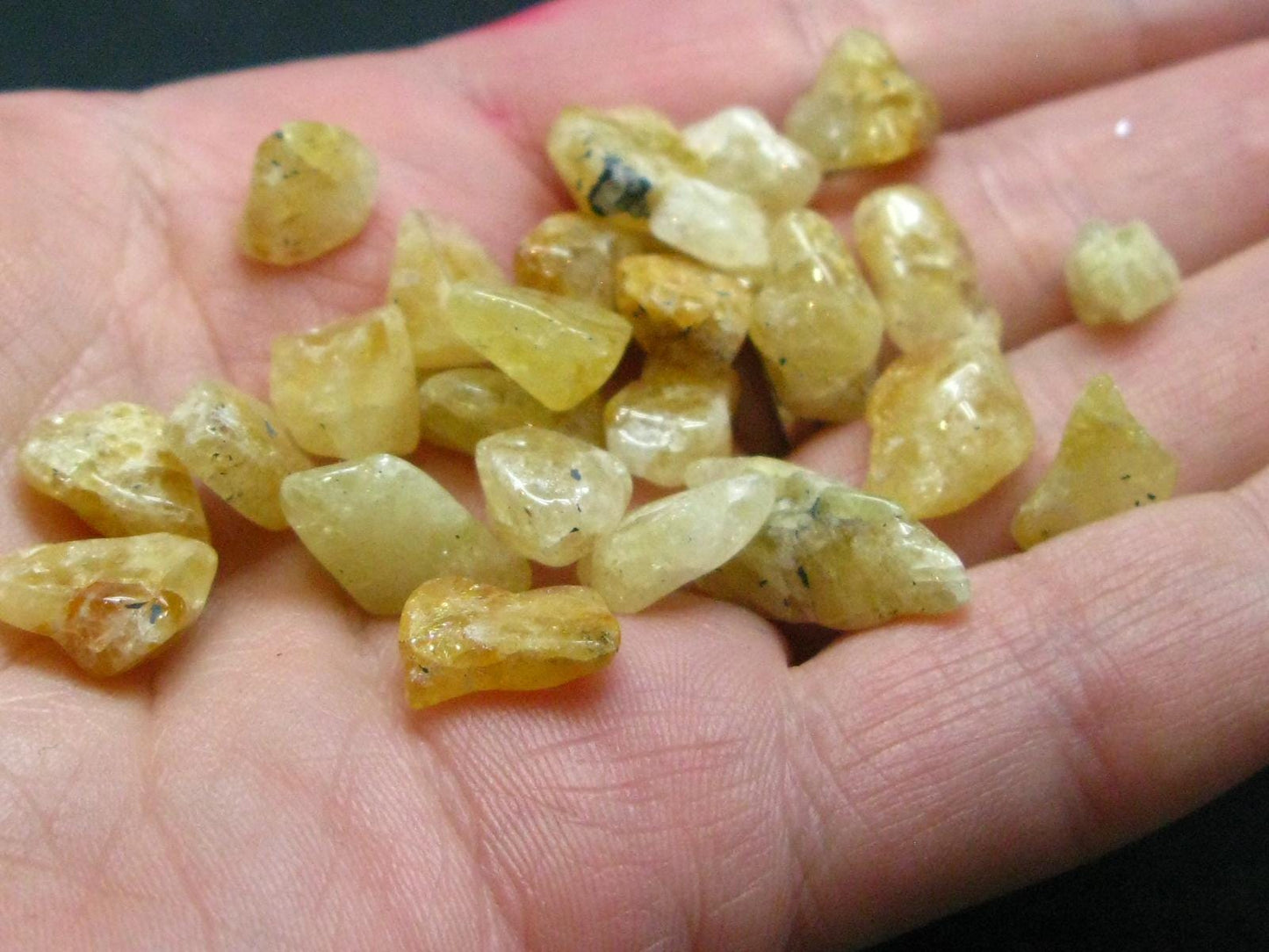 Lot of 25 Tumbled Heliodor (Yellow Beryl) Crystals from Brazil - 62.95 Carats