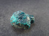 Very Nice Dioptase Cluster from Congo - 0.8" - 7.58 Grams
