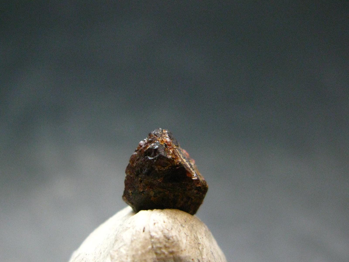 Rare Painite Crystal From Myanmar - 2.25Carats