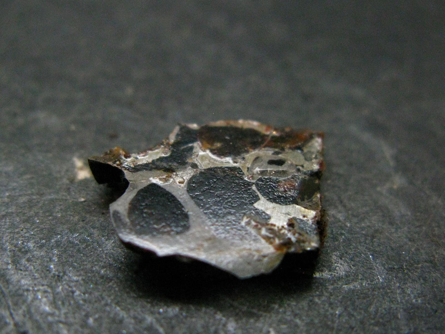 Large Sericho Meteorite Pallasite Olivine Slice From Kenya - 0.6" - 1.23 Grams