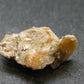Rare Herderite Crystal from Brazil - 1.59 Grams - 0.8"