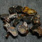 Lot of 10 Sericho Pallasite Meteorite Pieces From Kenya - 4.23 Grams