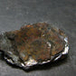 Natural Hematite "Iron Rose" from Brazil - 1.6" - 19.36 Grams