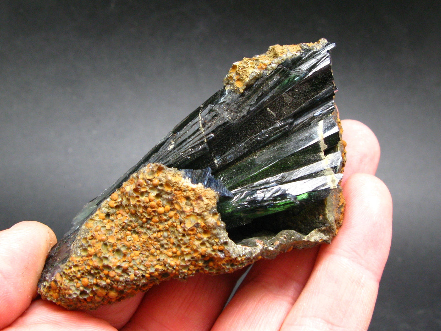 Vivianite Cluster From Brazil - 3.5"