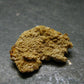 Rare Monazite Crystal From Brazil - 0.8" - 2.27 Grams