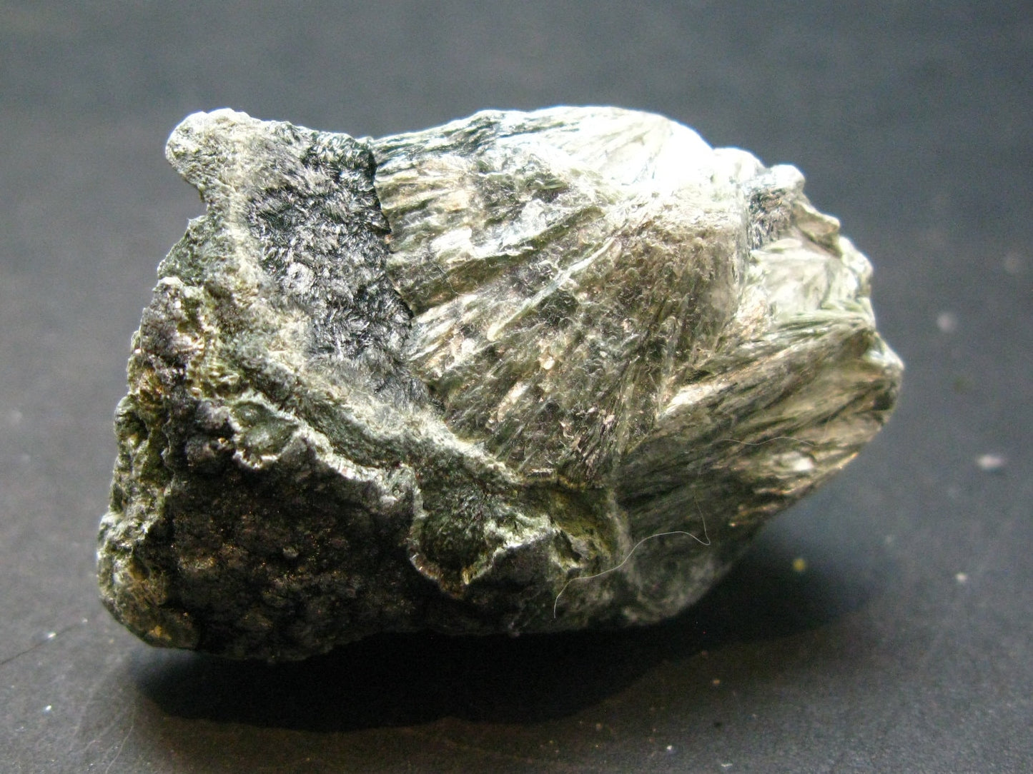 Rare Raw Polished Seraphinite Clinochlore Angels Wings Piece From Russia - 1.7"