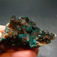 Very Nice Dioptase Cluster from Congo - 2.0" - 28.66 Grams