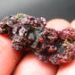 Rare Gem Proustite Cluster From Morocco - 1.4" - 12.42 Grams