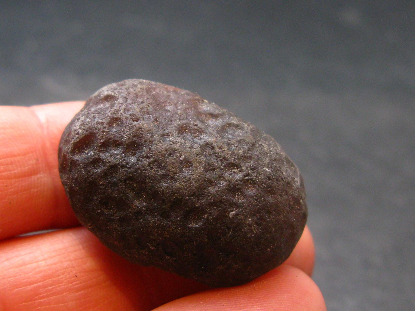 Colombianite Pseudotektite from Colombia - 10.83 Grams - 1.1"