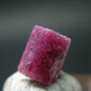 Nice Rare Gem Bixbite Red Emerald Beryl DT Crystal From Utah USA - 1.70 Carats