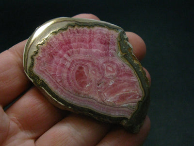 Rhodochrosite Stalactite Slab From Argentina - 2.3" - 25.81 Grams