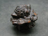 Very rare Z-Stone (Limonite after Marcasite) from Sahara Dessert, Egypt - 1.1" - 21.4 Grams