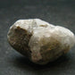 Gem Phenakite Phenacite Crystal From Russia - 13.11 Grams - 1.2"