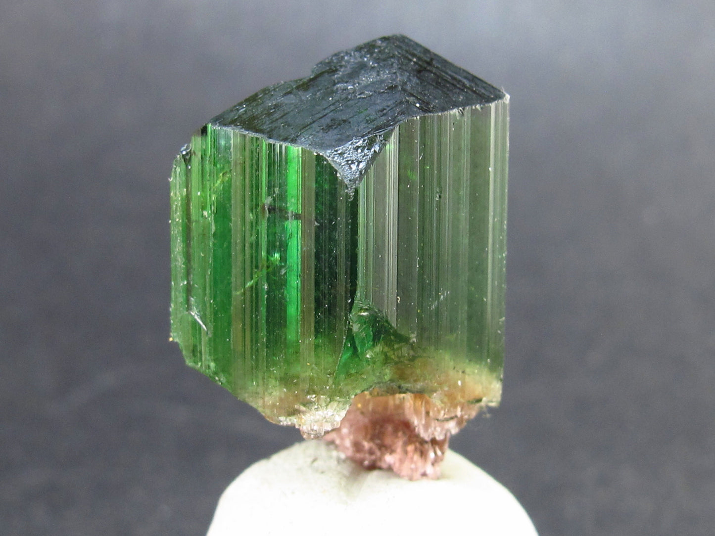 Rare Watermelon Tourmaline Crystal From Brazil - 1.0" - 49.55 Carats