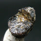 Rare Painite Crystal From Myanmar - 15.07 Carats