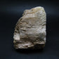 Enormous Gold Danburite from Madagascar - 9.3" - 2014 Grams
