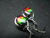 Ammolite Amolite Sterling Silver Earrings From Canada - 1.2"