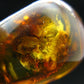 Insects in Amber Piece From Baltic Sea - 5.34 Grams - 1.2"