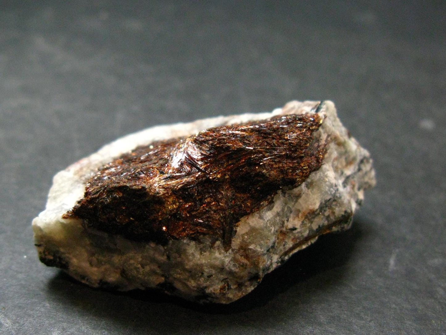 Astrophylite Astrophyllite Cluster From Russia - 2.1" - 46.86 Grams