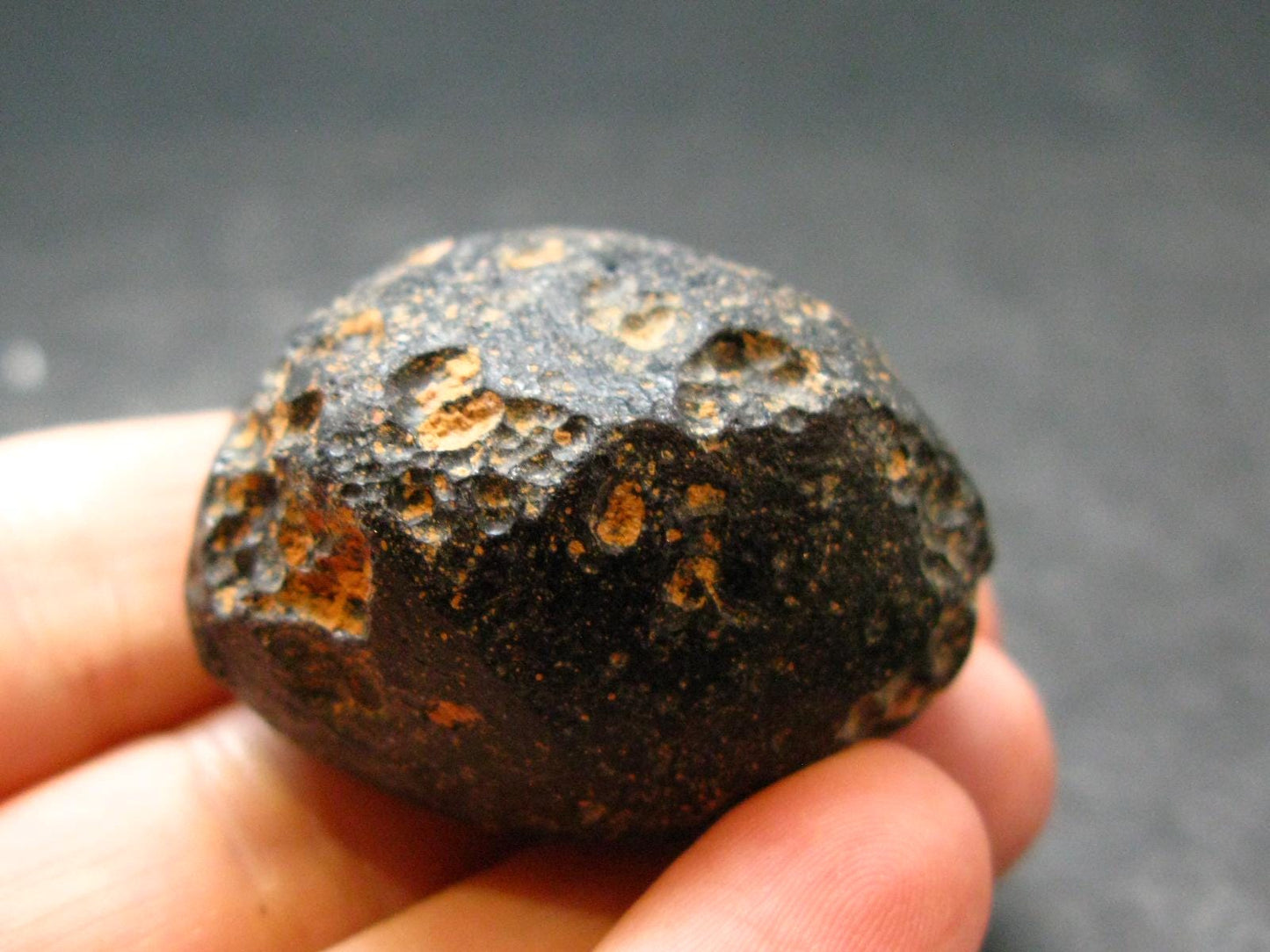 Rare Large Black Tibetan Tektite Raw Piece from Tibet - 1.4" - 30.05 Grams