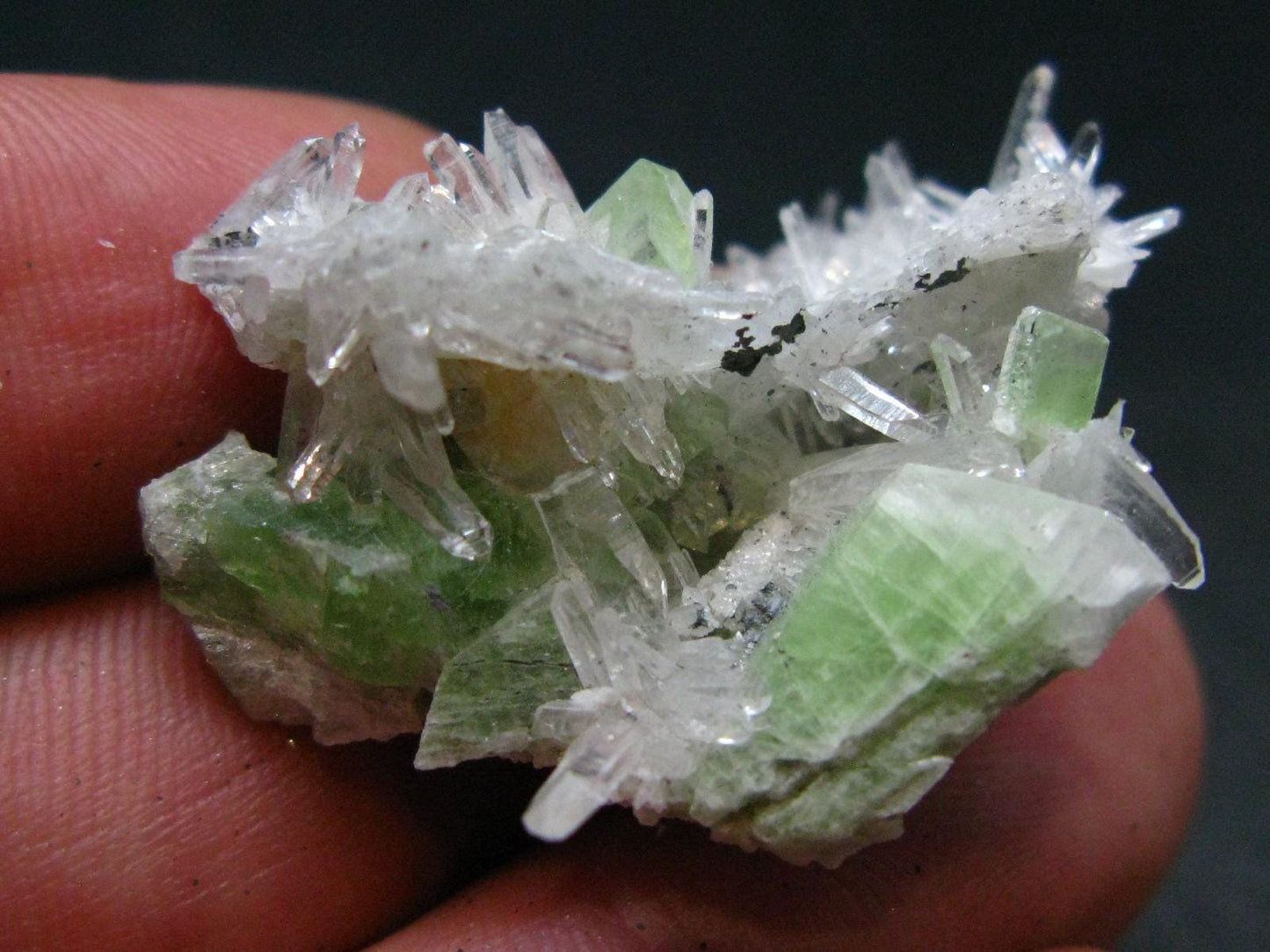 Rare Gem Augelite and Quartz Cluster from Peru - 1.4"